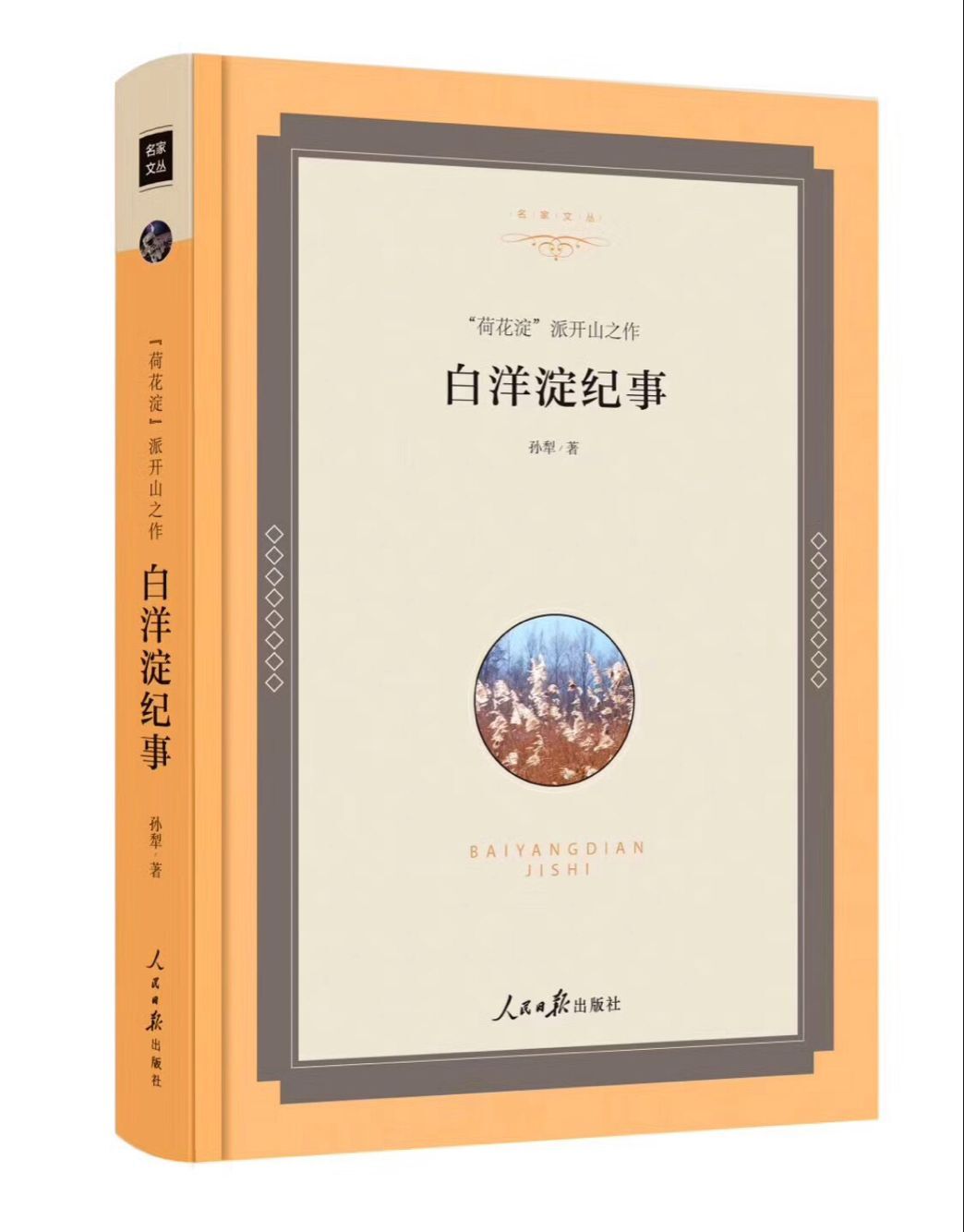 白洋淀纪事